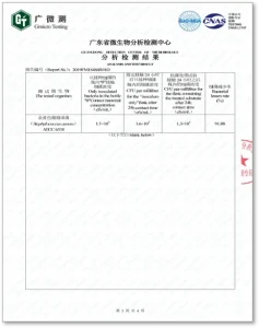 Gmicro Testing 3